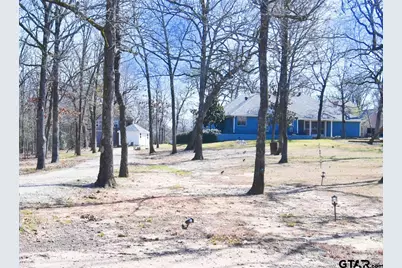 1339 Fm 288, Quitman, TX 75783 - Photo 14