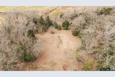 2605 Vz County Road 4923, Ben Wheeler, TX 75754 - Photo 22