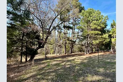 Tbd An County Road 452, Palestine, TX 75803 - Photo 10