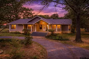 1214 SE Cr 4385, Scroggins, TX 75480 - Photo 2