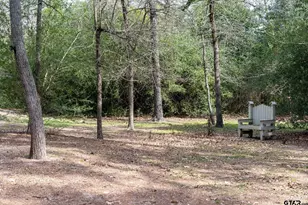 138 Green Knl, Holly Lake Ranch, TX 75765 - Photo 24