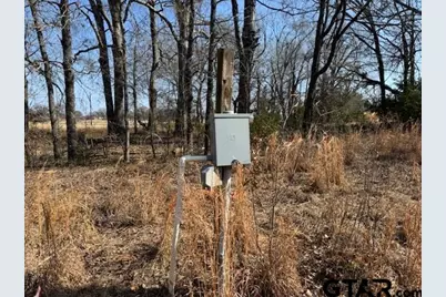 Tbd County Rd 1575, Alba, TX 75410 - Photo 14