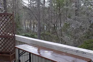 234 Holly Hill Circle 206B, Holly Lake Ranch, TX 75765 - Photo 14