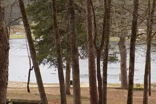 234 Holly Hill Circle 206B, Holly Lake Ranch, TX 75765 - Photo 28