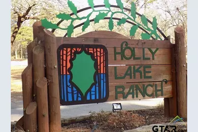234 Holly Hill Circle 206B, Holly Lake Ranch, TX 75765 - Photo 32