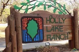 234 Holly Hill Circle 206B, Holly Lake Ranch, TX 75765 - Photo 32
