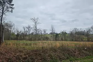 Tbd Cr 2143, Troup, TX 75789 - Photo 1