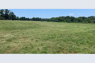 22173 Hwy 135, Troup, TX 75789 - Photo 1