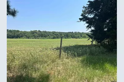 22173 Hwy 135, Troup, TX 75789 - Photo 6