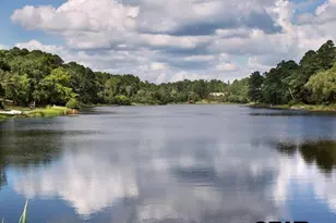 121 Candlelight Cove, Holly Lake Ranch, TX 75765 - Photo 32