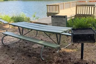 121 Candlelight Cove, Holly Lake Ranch, TX 75765 - Photo 34