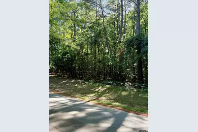 18561 Paradise Ln, Flint, TX 75762 - Photo 6