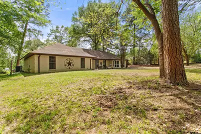 13302 County Road 2220, Whitehouse, TX 75791 - Photo 4