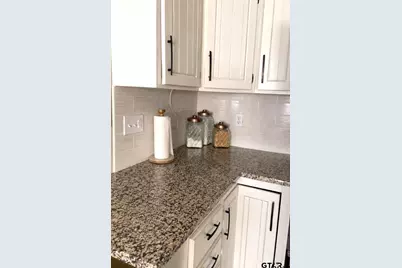 13302 County Road 2220, Whitehouse, TX 75791 - Photo 8