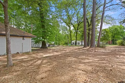 13302 County Road 2220, Whitehouse, TX 75791 - Photo 30