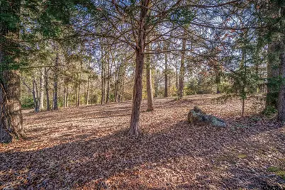 235 Widgeon Rd, Gilmer, TX 75645 - Photo 22