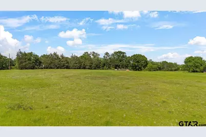 335 County Road 4802 & Hwy 110, Troup, TX 75789 - Photo 6