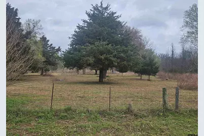 22401 Cr 2290, Arp, TX 75750 - Photo 2