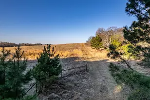 000 Cr 4710, LaRue, TX 75770 - Photo 1