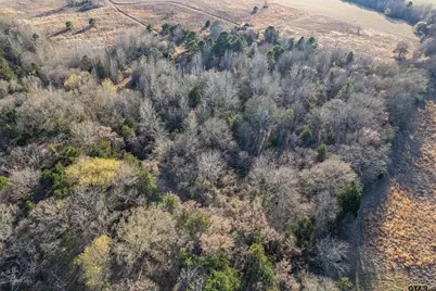 000 Cr 4710, LaRue, TX 75770 - Photo 20