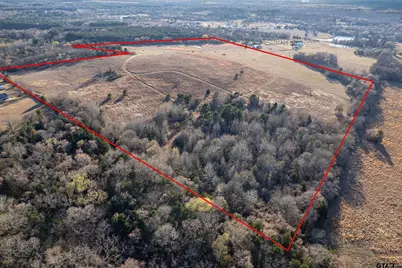 000 Cr 4710, LaRue, TX 75770 - Photo 2