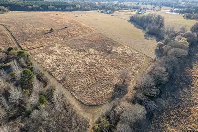 000 Cr 4710, LaRue, TX 75770 - Photo 8