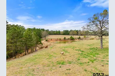 9940 Cr 3603, Brownsboro, TX 75756 - Photo 8