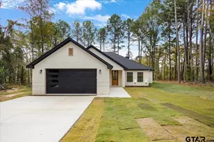 16971 Mary Martin Dr, Flint, TX 75762 - Photo 1