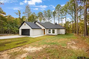 16971 Mary Martin Dr, Flint, TX 75762 - Photo 4