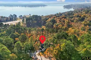 16971 Mary Martin Dr, Flint, TX 75762 - Photo 30