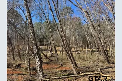 0 An County Road 319, Frankston, TX 75763 - Photo 8