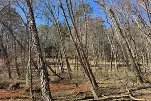 0 An County Road 319, Frankston, TX 75763 - Photo 8