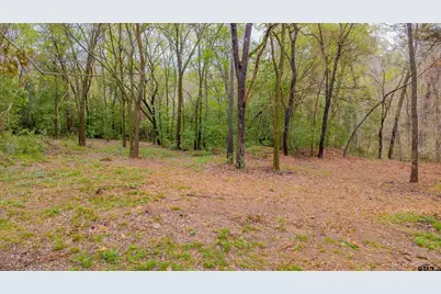 161 Fairway East, Hideaway, TX 75771 - Photo 10