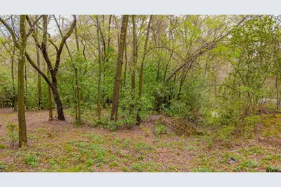 161 Fairway East, Hideaway, TX 75771 - Photo 12