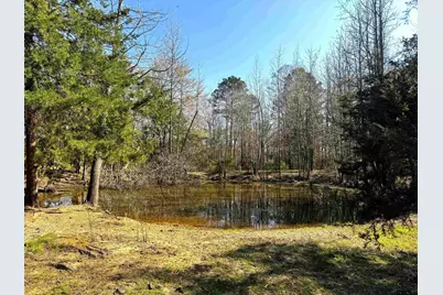 Tbd Cr 3545, Leesburg, TX 75451 - Photo 24