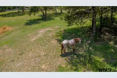 249 Private Road 6936, Alba, TX 75410 - Photo 30