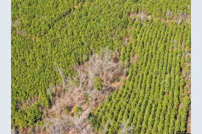 Lot 6 Fm 556, Pittsburg, TX 75686 - Photo 4