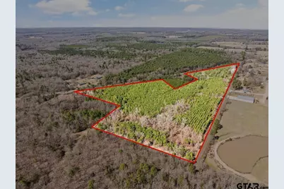 Lot 2 Fm 556, Pittsburg, TX 75686 - Photo 12