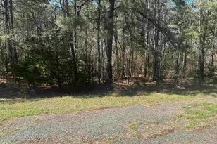 411 Cherokee Cove Dr, Jacksonville, TX 75766 - Photo 1