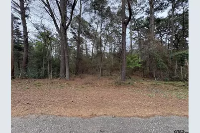 142 Timber Bluff Rd, Bullard, TX 75757 - Photo 1