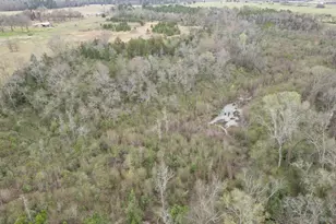 429 Texana Rd, Big Sandy, TX 75755 - Photo 16