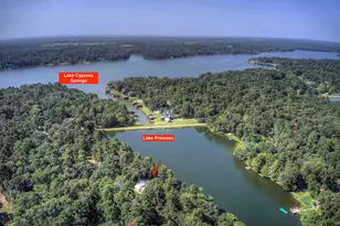 132 King George Rd, Scroggins, TX 75480 - Photo 30