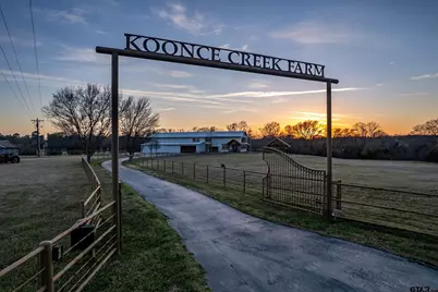 131 Vz Cr 1121, Grand Saline, TX 75140 - Photo 48