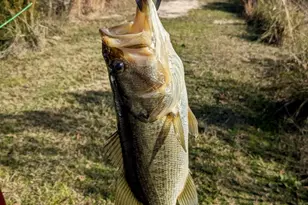 23326 Cr 448, Lindale, TX 75771 - Photo 6