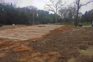 209 Peachtree Ln, Big Sandy, TX 75755 - Photo 2