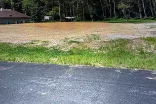 209 Peachtree Ln, Big Sandy, TX 75755 - Photo 1