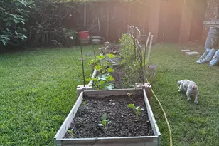 18058 Whispering Pines Rd, Flint, TX 75762 - Photo 20