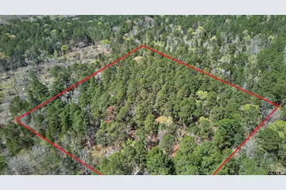 0 An Country Road 3193, Frankston, TX 75763 - Photo 16