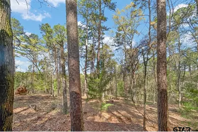 0 An Country Road 3193, Frankston, TX 75763 - Photo 4