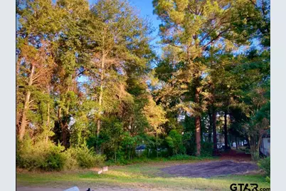 262 E Walnut Trail, Murchison, TX 75778 - Photo 2
